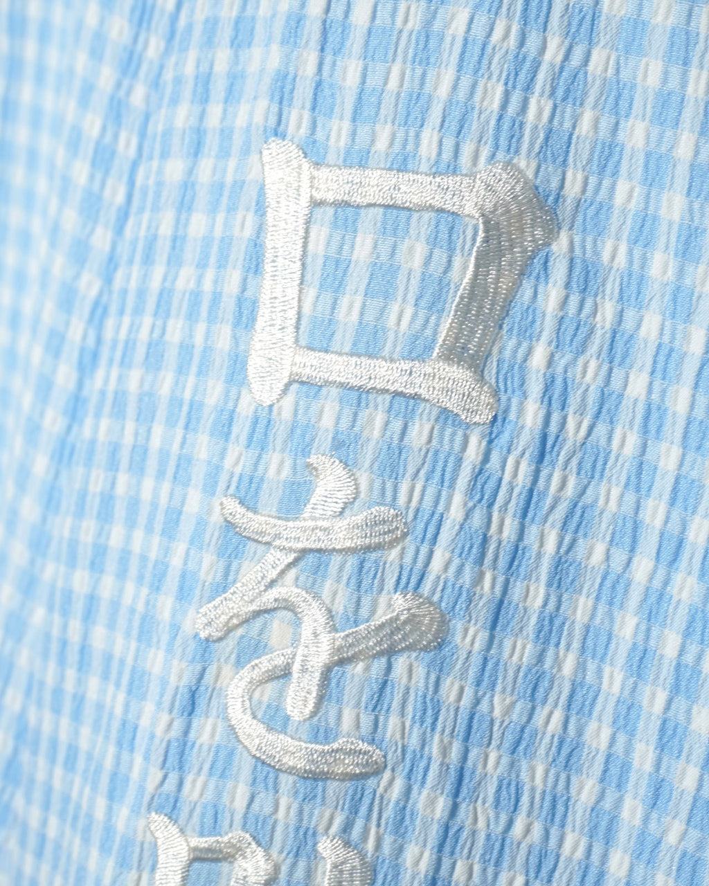 【予約商品：27年 2月上旬お届け】NISHIMOTO IS THE MOUTH GINGHAM CHECK HOODIE NIM-Z87 BLUE