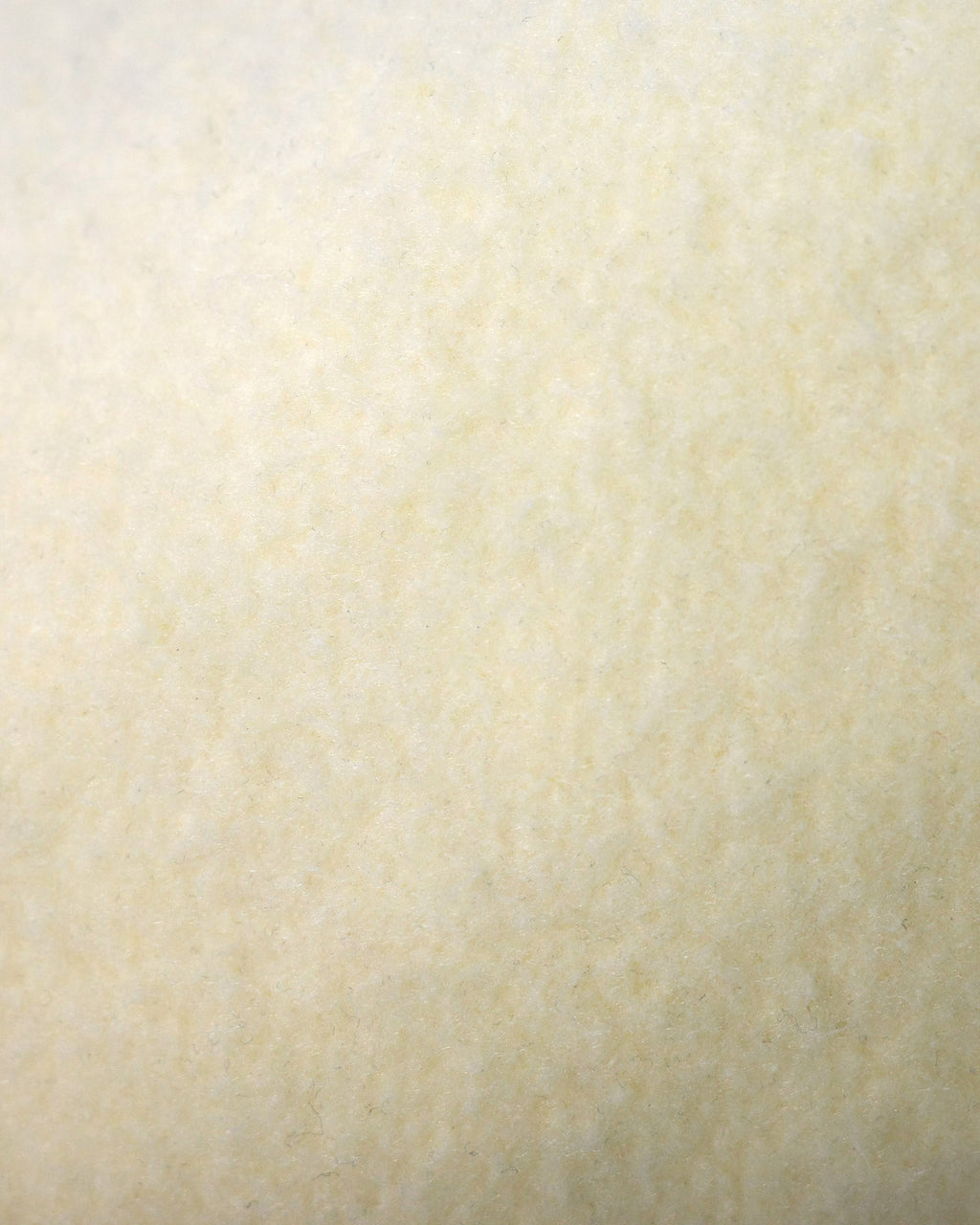 COMMON BASE SWEATSHIRT CB-B04 LIGHT YELLOW