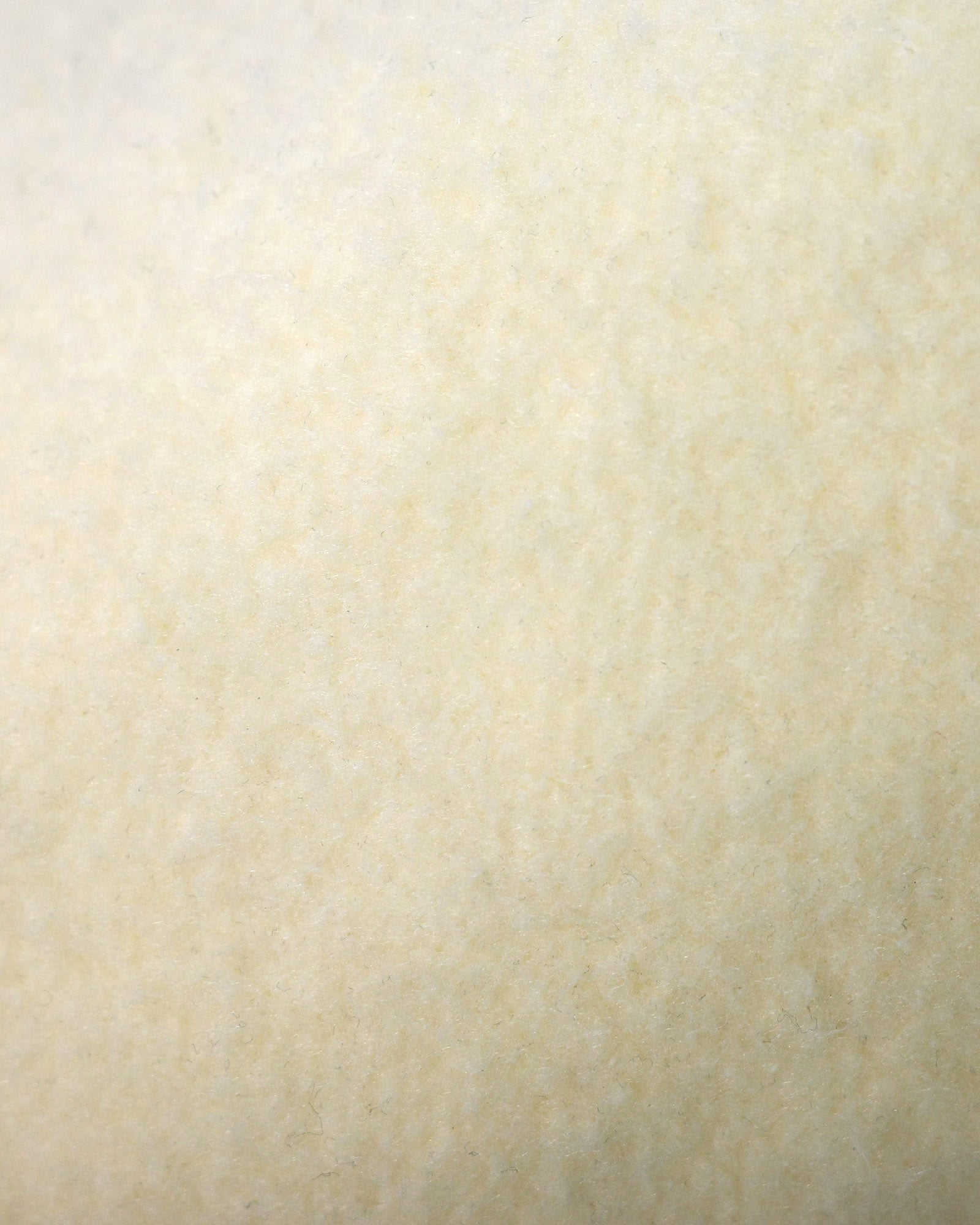 COMMON BASE SWEATSHIRT CB-B04 LIGHT YELLOW