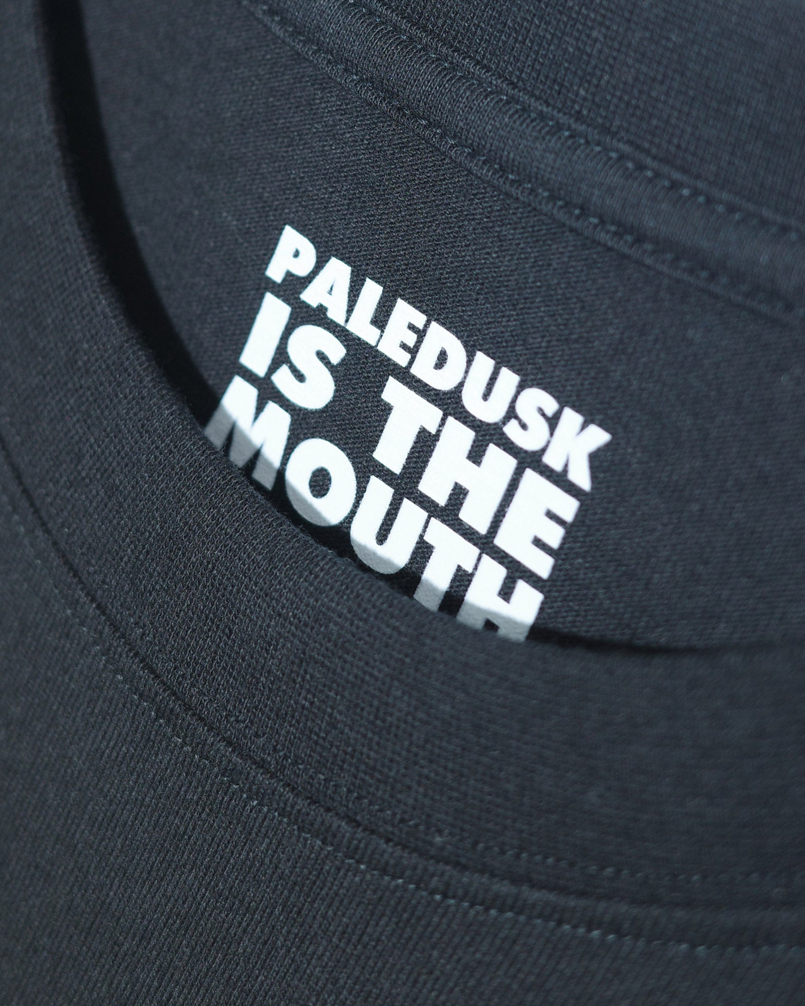 【予約商品 | 6月中旬〜6月下旬お届け予定】NISHIMOTO IS THE MOUTH × Paledusk S/S TEE NIMPD-01 BLACK