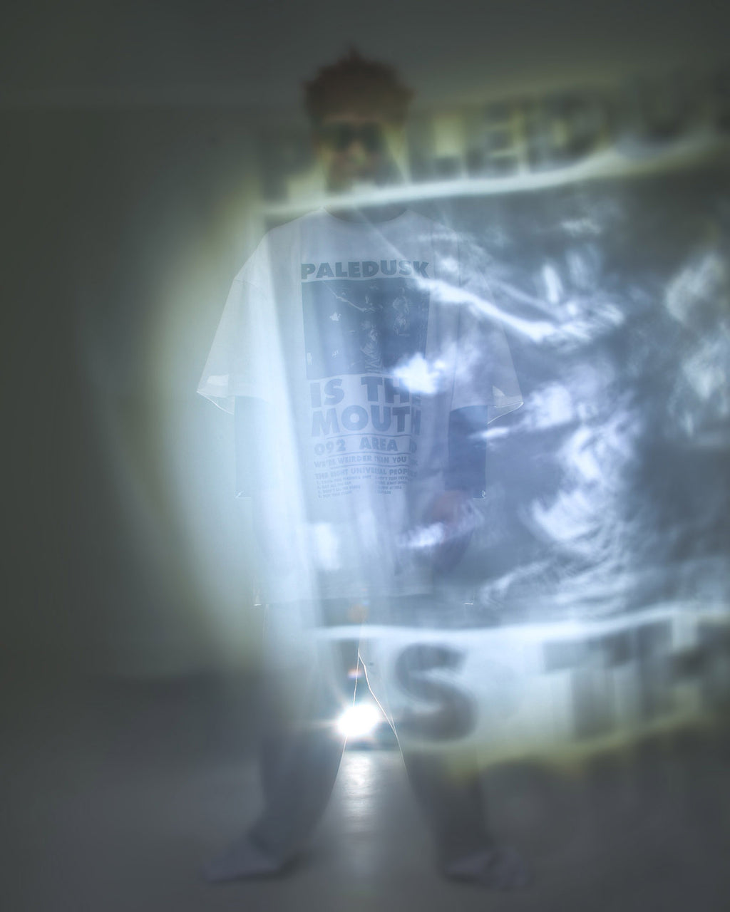 【予約商品 | 6月中旬〜6月下旬お届け予定】NISHIMOTO IS THE MOUTH × Paledusk S/S TEE NIMPD-01 WHITE