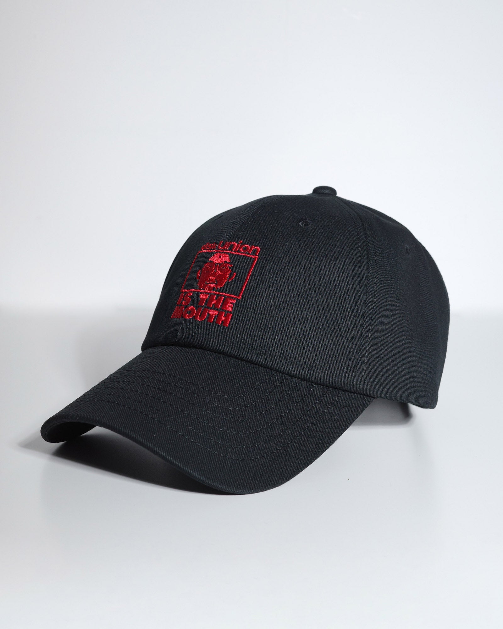 diskunion / NISHIMOTO IS THE MOUTH CAP NIMDU-02 BLACK