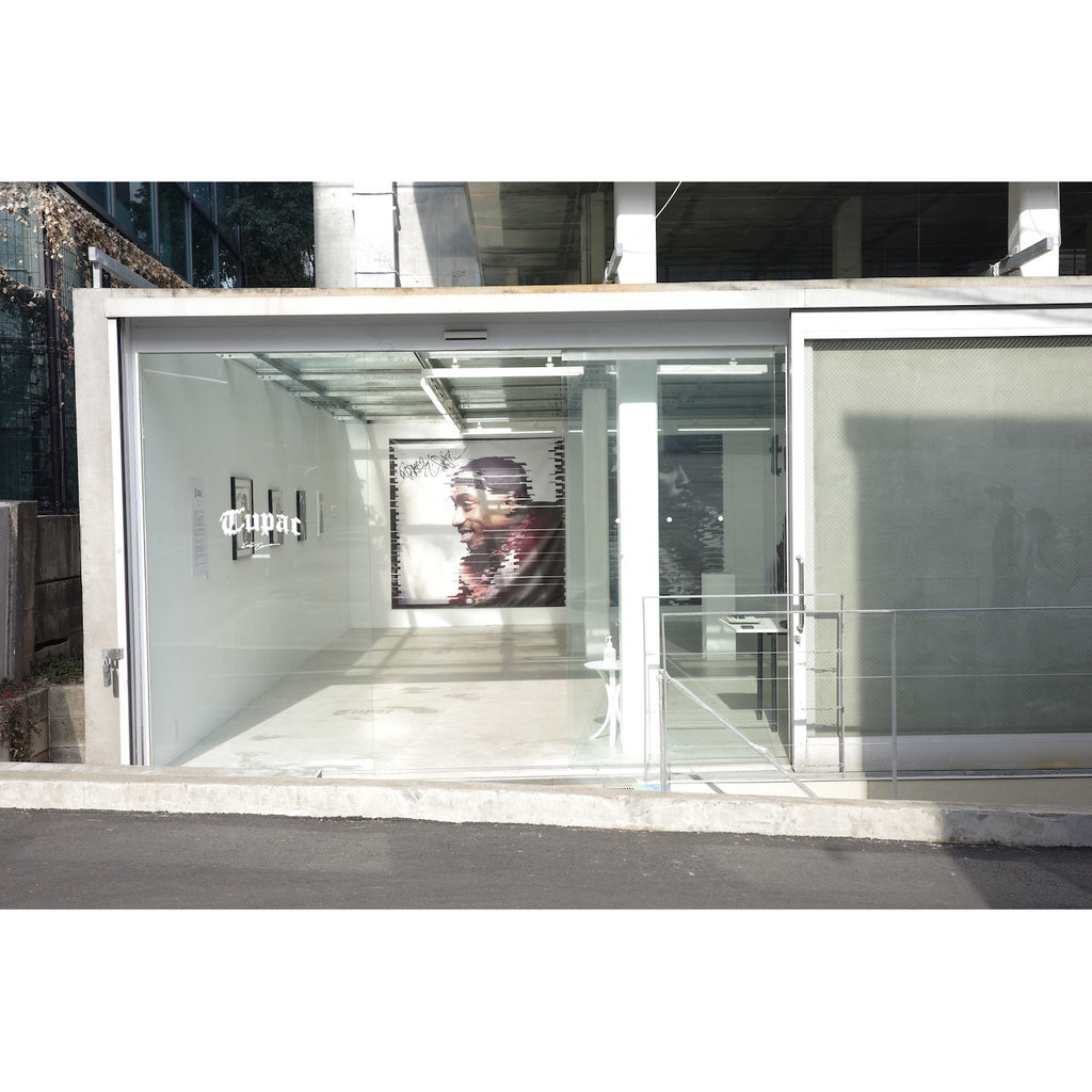 2PAC / Kosuke Kawamura Neo-silk, glitter on CANVAS