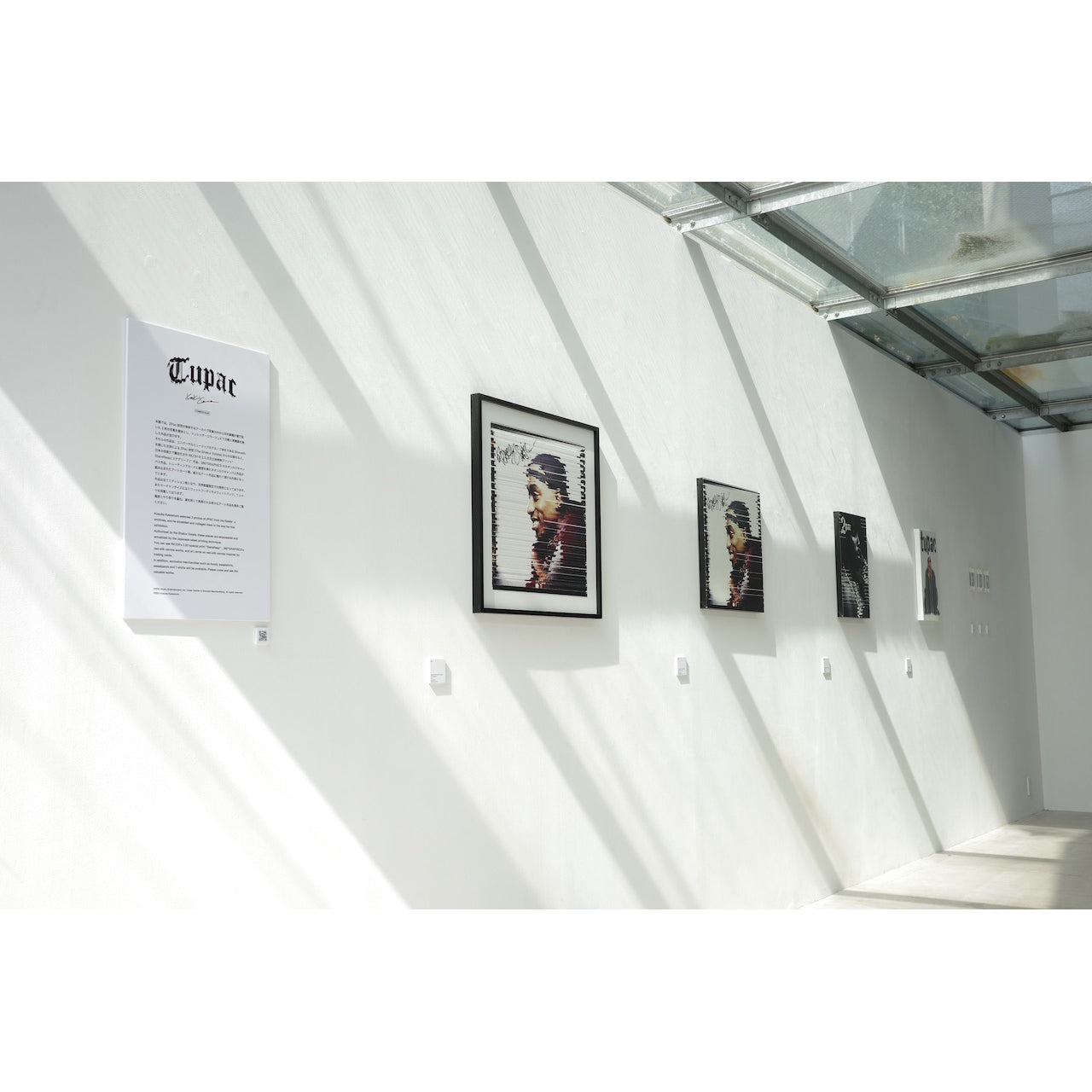 2PAC / Kosuke Kawamura Neo-silk, glitter on CANVAS